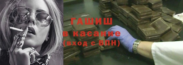 индика Богородск
