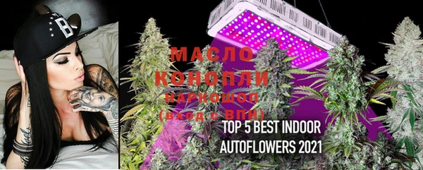PSILOCYBIN Богородицк