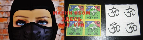PSILOCYBIN Богородицк