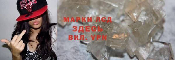 индика Богородск