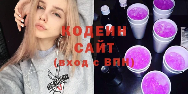 индика Богородск