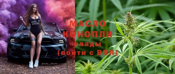 индика Богородск