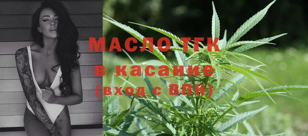 индика Богородск