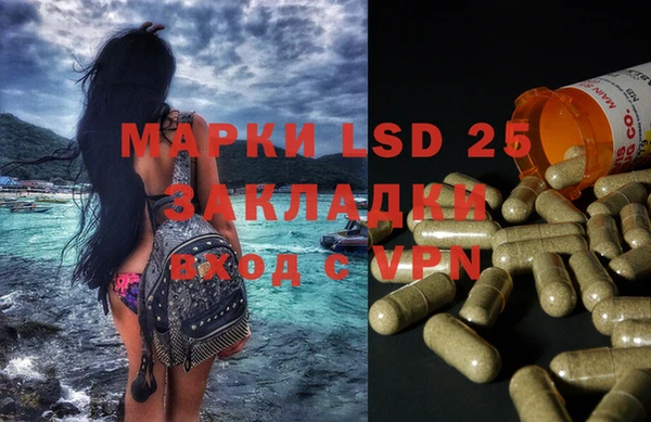 PSILOCYBIN Богородицк